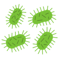 État parasitaire