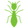Diagnostic termites